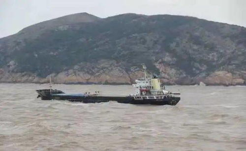 敲黑板│船舶载运易流态化固体散装货物安全须知