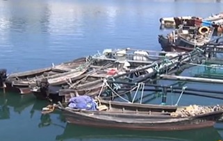 青岛银沙滩一渔船突发火灾 两名船员跳海逃生