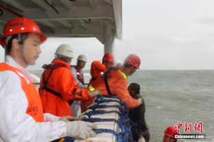 高清 珠江口一集装箱船被撞沉没 5名船员失踪