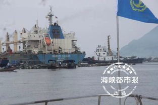 福建海域,一万吨轮船失控碰撞渔排