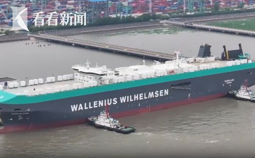 上海 五一 假期外高桥口岸迎船舶靠港高峰