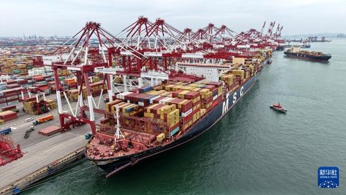 青岛港 面向上合组织国家货物吞吐量和航线实现 双增长