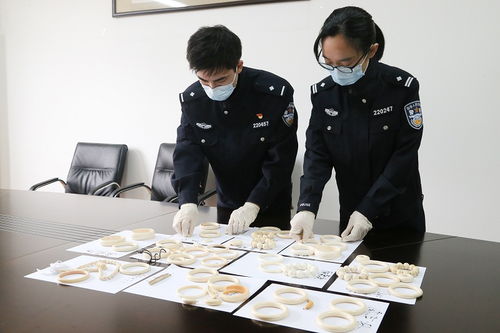 12名入境船员行李物品中有猫腻 上海海关查获64件象牙制品