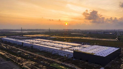 西方传出消息 俄罗斯工厂大面积停产 中国的决定实在是明智