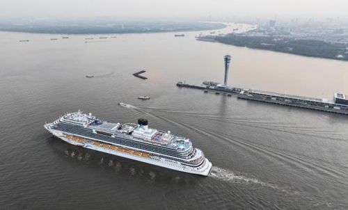 高效便捷的船员接送服务，助力航运事业发展